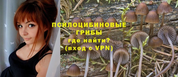 экстази Алзамай