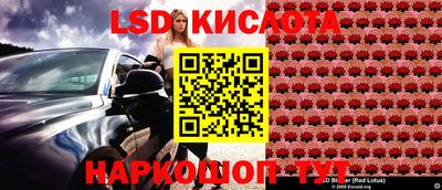 гашик Донецк