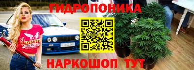 гашик Донецк