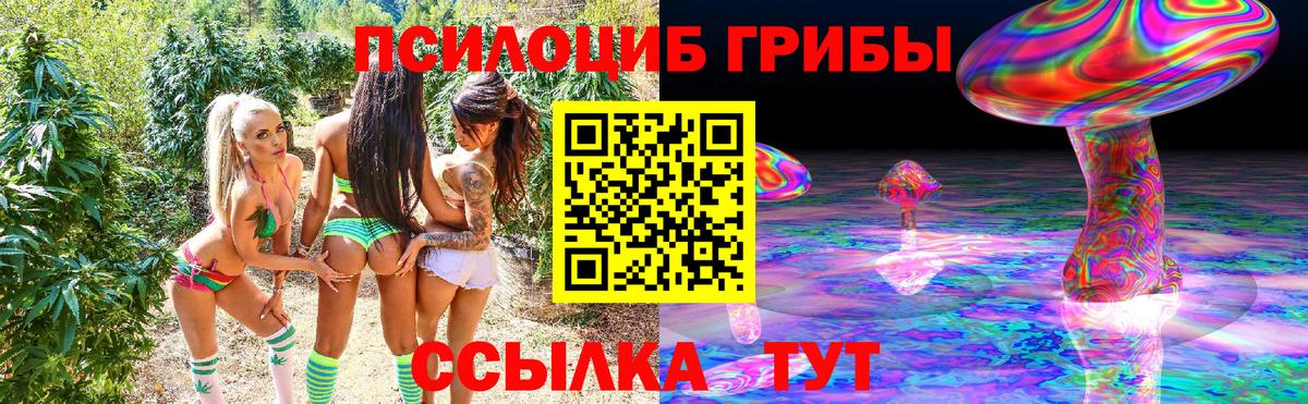 Глазов  Галлюциногенные грибы GOLDEN TEACHER  Галлюциногенные грибы Psilocybe  Вход с VPN 