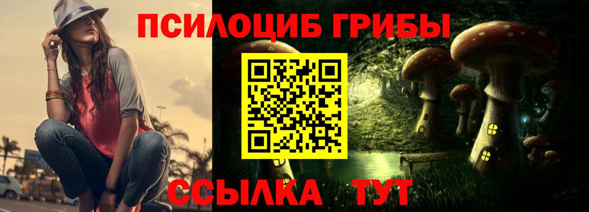 Псилоцибиновые грибы Cubensis Глазов